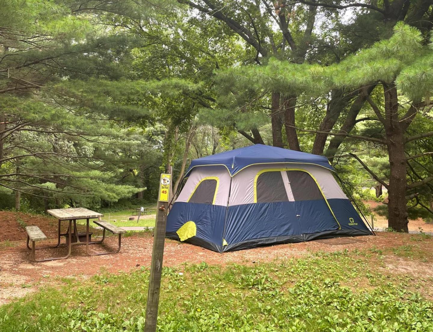 Yogi Bear'S Jellystone Park Camp-Resort Wisconsin Dells Lake Delton Buitenkant foto